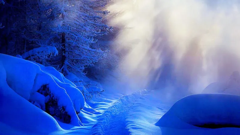 Winter Theme Preview Image