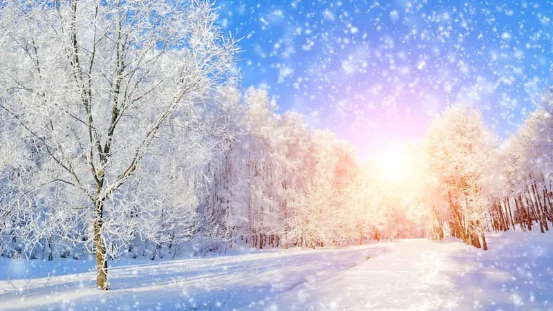 Winter Theme Preview Image