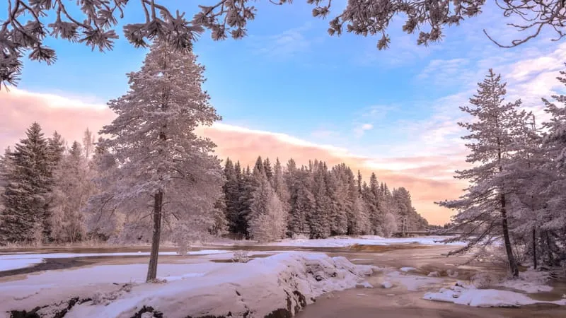 Winter Theme Preview Image