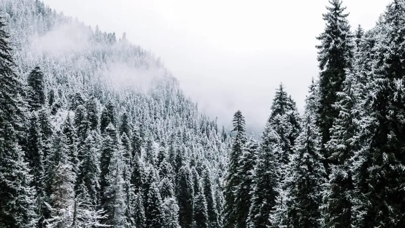 Winter Theme Preview Image