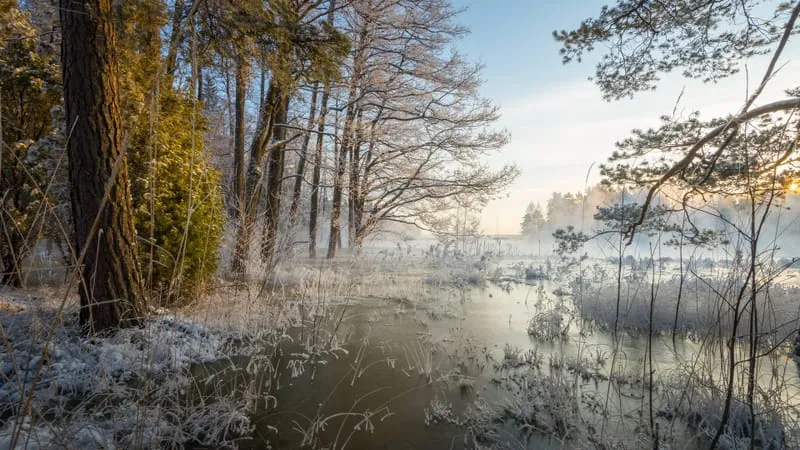 Winter Theme Preview Image