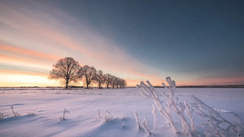 Winter Theme Preview Image