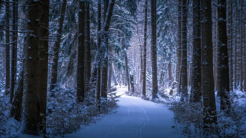 Winter Theme Preview Image