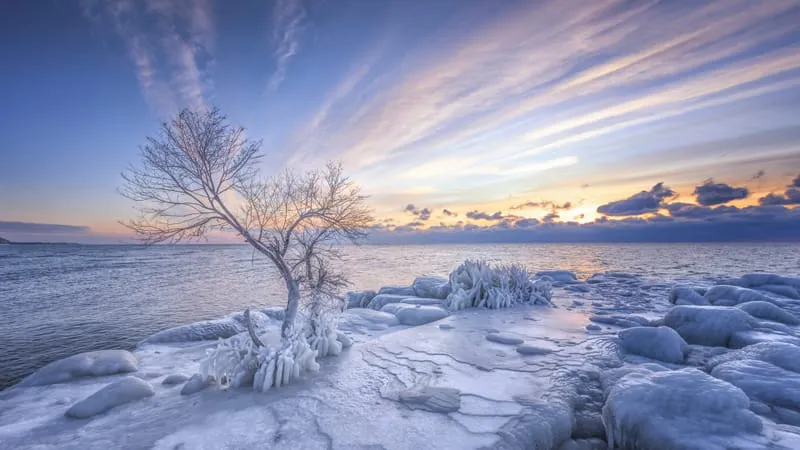 Winter Theme Preview Image