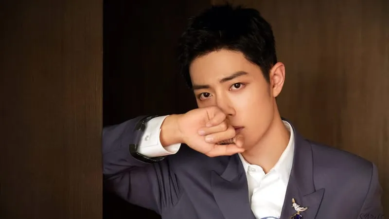 Xiao Zhan Theme Preview Image