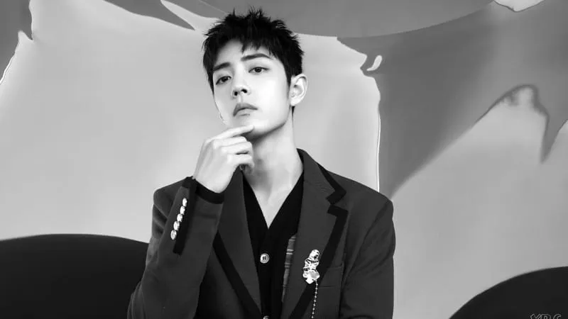 Xiao Zhan Theme Preview Image