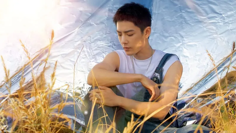 Xiao Zhan Theme Preview Image