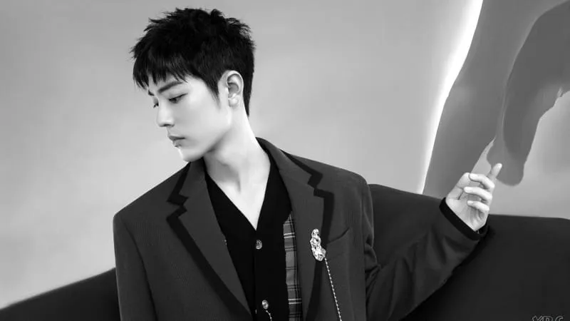 Xiao Zhan Theme Preview Image