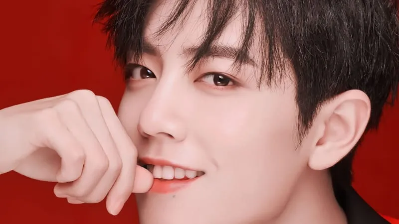 Xiao Zhan Theme Preview Image
