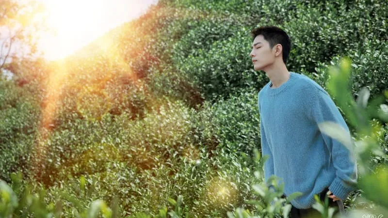 Xiao Zhan Theme Preview Image