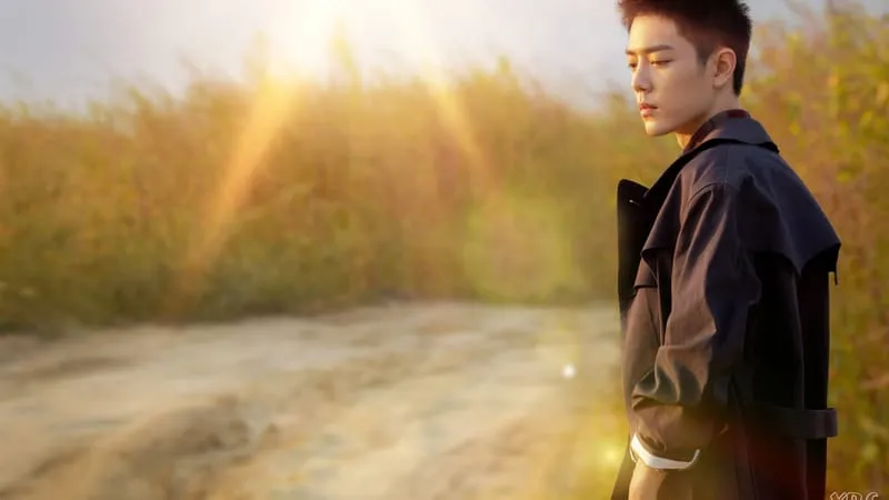 Xiao Zhan Theme Preview Image