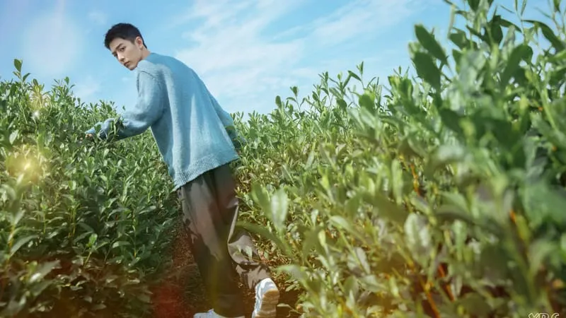 Xiao Zhan Theme Preview Image