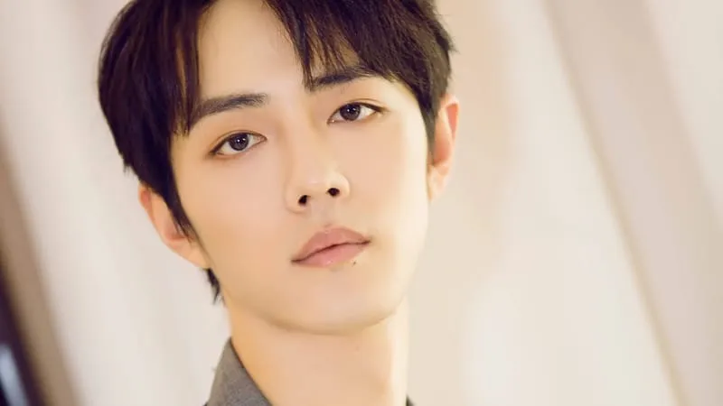 Xiao Zhan Theme Preview Image