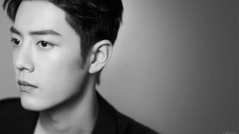 Xiao Zhan Theme Preview Image