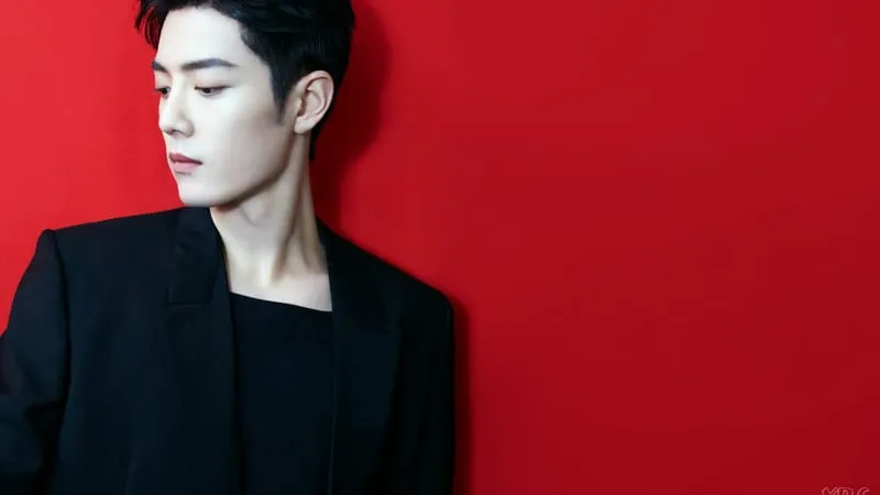 Xiao Zhan Theme Preview Image