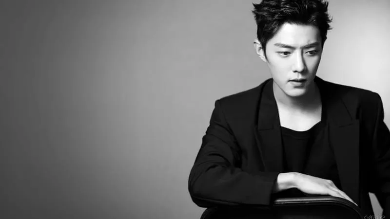 Xiao Zhan Theme Preview Image