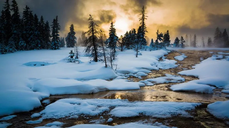 Yellowstone National Park Theme Preview Image