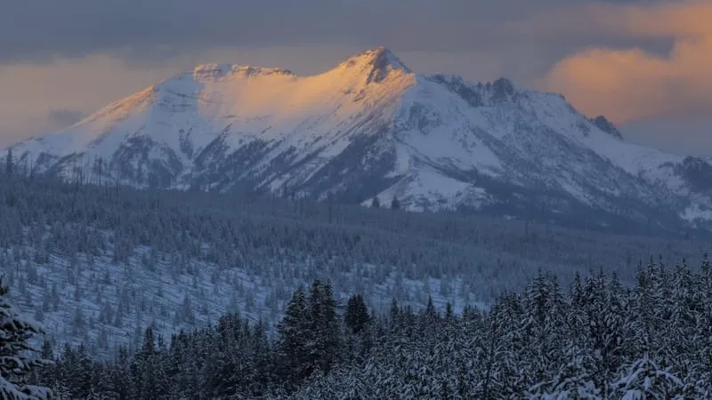 Yellowstone National Park Theme Preview Image