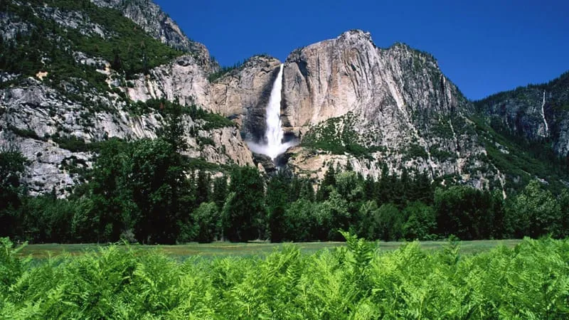 Yosemite Falls Theme Preview Image