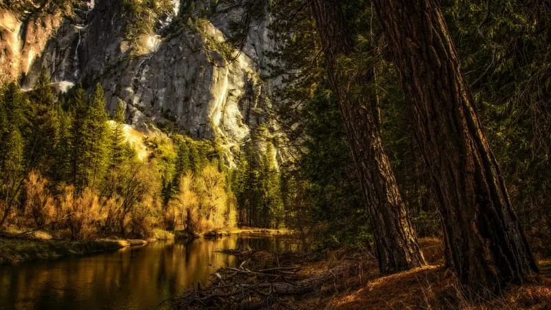 Yosemite National Park Theme Preview Image