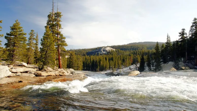 Yosemite National Park Theme Preview Image