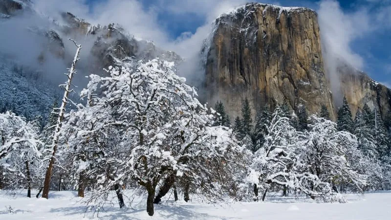Yosemite National Park Theme Preview Image