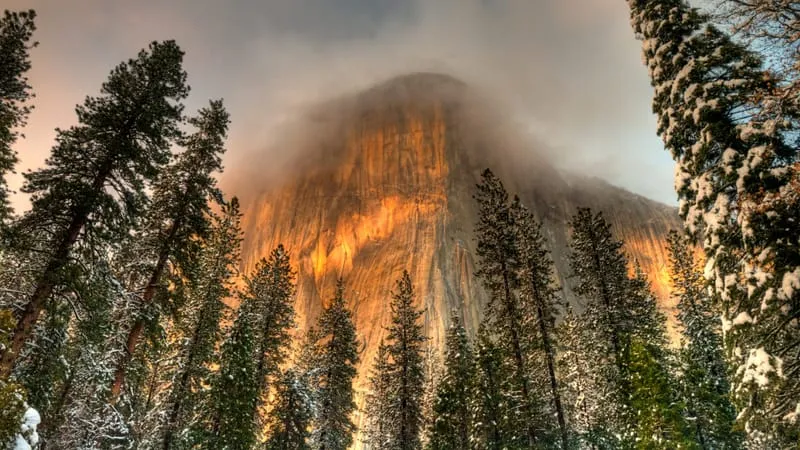 Yosemite National Park Theme Preview Image