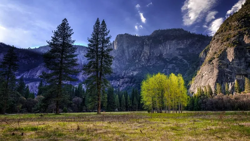 Yosemite National Park Theme Preview Image