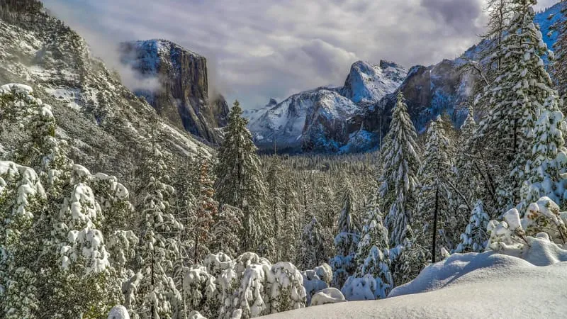 Yosemite National Park Theme Preview Image