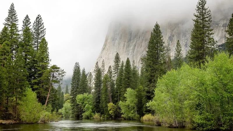 Yosemite National Park Theme Preview Image