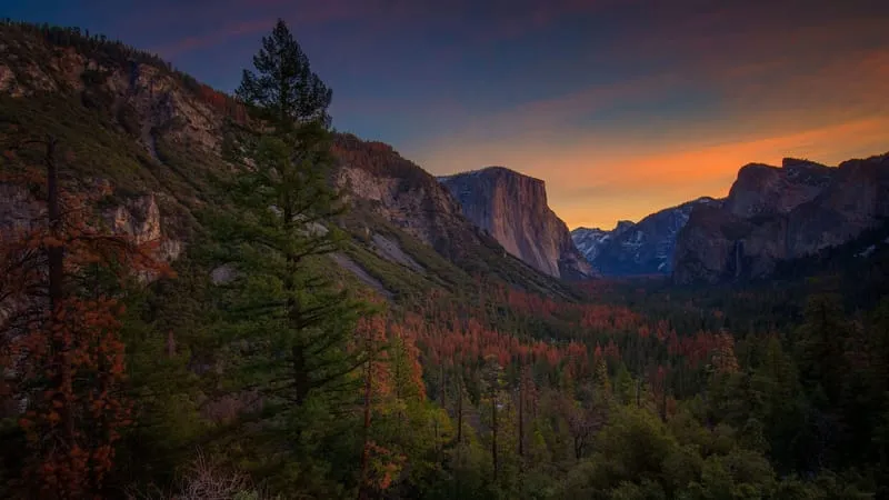 Yosemite National Park Theme Preview Image