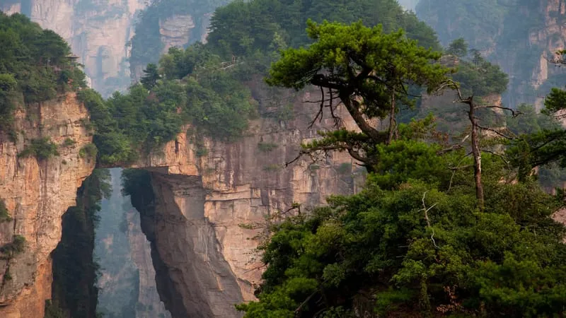 Zhangjiajie National Forest Park Theme Preview Image