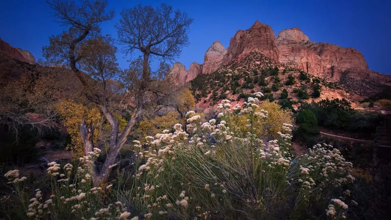 Zion National Park Theme Preview Image