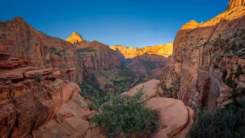 Zion National Park Theme Preview Image