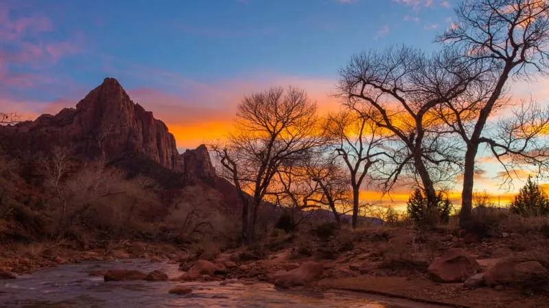 Zion National Park Theme Preview Image